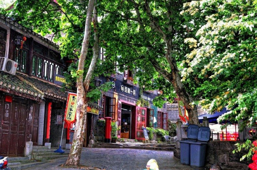 【专业建在产业上】打造技能人才,彰显职教魅力——汽车运用与维修专业